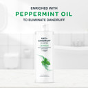by Amazon Repair & Nutrition Shampoo, 2 x 400 ml (Pack of 2)