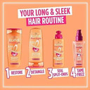 L'Oréal Elvive Dream Lengths Shampoo 250ml & Conditioner 200ml Set for Long Hair, Nourishing Repair with Castor Oil & Vitamins for Damaged Ends, Smooth & Strong Hair