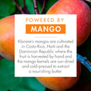 Klorane Ultra Gentle Oat Conditioner  Detangles  All Hair Types  Vegan*  1x 200ml Bottle