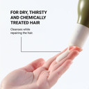 Loma Nourishing Shampoo, 12 Ounce by Loma