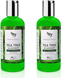 Tea Tree Oil Anti Dandruff Shampoo - 2 Pack [Made In UK] Therapeutic Grade | Antifungal for Dry Itchy Flaky Scalp and Hair | Prevents Head Lice Men Women | 250ml
