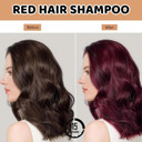 Polar Hair Dye Shampoo,Red Hair Dye Shampoo 3 in 1 for Ha/ir,Instant Hai/r Dyes Shampo/o,Ha/ir Dye S/hampoo,Hai/r Care Instant Dye Sha/mpoo,Long Lasting H/air Color Sham/poo,Permanent Colour(Red)