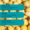 Noughty Frizz Magic Conditioner, Anti Frizz/Humidity Conditioning Formula for Frizzy, Curly & Wavy Hair, 97% Natural Sulphate Free Vegan Haircare for Smooth Control & Shine (250ml)