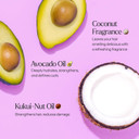 Only Curls All Curl Cleanser, 300ml, Curly Hair Care Shampoo, Sulphate-free, Gentle Formula, Hydrated, Defined & Frizz-Free Curls, Vegan & Cruelty Free, Vegan & Cruelty Free, For All Curly Hair Types