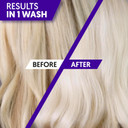 PROVOKE Touch Of Silver Brightening Purple Shampoo 200 ml, Neutralises Yellow and Orange tones, Formulated with Violet and Blue Pigments (Pack of 2)