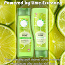 Herbal Essence Dazzling Shine Shampoo & Conditioner Bundle (2 x 400 ml)  Shine-Enhancing Hair Care for Dull or Damaged Hair  Silicone-Free, Cruelty-Free Formula with Natural Lime Essence
