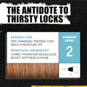 TIGI Bed Head Urban Anti-dote Recovery Shampoo & Conditioner Duo Damage Level 2 (25.36oz)