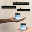 UpCircle Haircare Duo  Shampoo and Conditioner Crème  Rosemary Oil , Coconut Oil + Vitamin E  Prevents Frizz, Protects Scalp + Boosts Circulation  Vegan , Cruelty-Free + Sustainable