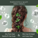 Vis Plantis Mint Shampoo for Oily Hair and Scalp with Zinc - Reduces Dandruff & Controls Sebum - 500ml Natural Shampoo for Greasy Hair and Roots - Silicone & Sulphate Free Itchy Scalp Treatment