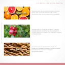 Annmarie Skin Care Citrus Stem Cell Serum - Aloe-Vera Based Serum With Citrus-Derived Stem Cells, Brightening & Toning Serum For Dark Spots, Dry & Dull Skin, All Skin Types (15Ml, 0.5 Fl Oz)