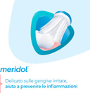 Meridol Toothbrush Potezione Gums