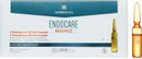 ENDOCARE-C Proteoglicanos Oil Free Ampollas 30x2ML