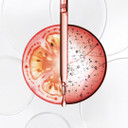 Ella Baché Tomate Glow Micro Exfoliating Night Cream 50 ml - Smoothing SOS Night Cream for Radiant, Regenerated Skin - Face Cream with Antioxidants & AHA Trio