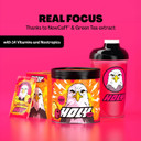 HOLY Energy Gaming Booster Flavour Powder | 50 portions with NewCaff & Green Tea Extract | Focus Booster - Focus Drink | Vegan with 100% natural fruit flavours (350 grams, Raspberry Raptor)