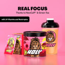 HOLY Energy Gaming Booster Flavour Powder | 50 portions with NewCaff & Green Tea Extract | Focus Booster - Focus Drink | Vegan with 100% natural fruit flavours (350 grams, Lion's Lemonade)