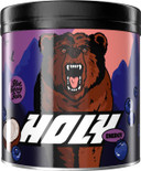HOLY Energy Gaming Booster Flavour Powder | 50 portions with NewCaff & Green Tea Extract | Focus Booster - Focus Drink | Vegan with 100% natural fruit flavours (350 Grams, Blueberry Bear)