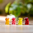 Just Wholefoods Organic Gummy Sweets 10 x 70g | Vegan, Gluten Free Fruit Flavoured Sweets | Plant-Based, No Artificial Ingredients and Reduced Sugar (Bears)