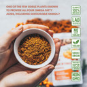 LOOV Organic Sea Buckthorn Powder, High in Fibre, Made from 100% Whole Berries, 113 g, Grown in Nordic Climate, Rich in Omega Blend, Vitamin C, Vitamin E, 23-Day Supply, No Added Sugar, Non-GMO