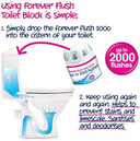 Ecozone Forever Flush Toilet Block, 2000 Flushes, Cleans and Sanitises, Helps Prevent Stains and Limescale