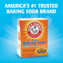 Arm & Hammer 10-Pack Odor Busterz Deodorizing Balls, 10 Count
