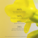 Kora Organics Noni Bright Vitamin C Serum | Firm & Smooth | Certified Organic | Cruelty Free | 1.01 Fl Oz1.01 Fl Oz (Pack Of 1) Kora Organics Noni Bright Vitamin C Serum | Firm & Smooth | Certified Organic | Cruelty Free | 1.01 Fl Oz1.01 Fl Oz (Pack Of 1)