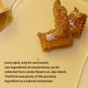 Korean Skin Care - The Yeon Canola Honey Propolis Ampoule