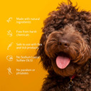 Arm & Hammer Oatmeal Shampoo for Dogs | Best Dog Shampoo for Dry Itchy Skin, Vanilla Coconut Scent, 591ml white