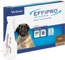Effipro Spot On solution, Very Large Dogs (40-60kg) - 4 Pipettes