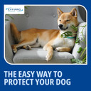 Effipro Flea & Tick Spot-On for Medium Dogs 10-20kg | Fast-Acting | 4 Pipettes | Vet-Strength Formula | Easy to Apply