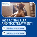 Effipro Flea & Tick Spot-On for Medium Dogs 10-20kg | Fast-Acting | 4 Pipettes | Vet-Strength Formula | Easy to Apply