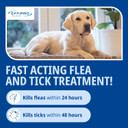 Effipro Spot On for Large Dogs, 20-40kg, 4 Pipettes