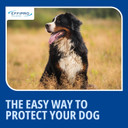 Effipro Spot On for Large Dogs, 20-40kg, 4 Pipettes