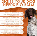 Dermoscent | Bio Balm | Dog Paw Balm | Organic Moisturizer for Paw Pads, Nose & Elbow | Itchy Dog Skin Relief | Soothes Sensitive Paws | 50ml
