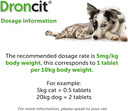 Droncit Tapeworm Tablets, Single tablet