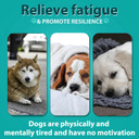 HUALIJIA Calming Treats For Dogs, 110 Count Hemp Calming Chews for Dogs - Reduce Stress Relief, Separation, Barking, Fireworks, Thunderstorms - 100% Natural Ingredients Dogs Calming Treats (Duck)