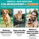 Calming Treats For Dogs, 60 Count Hemp Calming Chews for Dogs - Reduce Stress Relief, Separation, Barking, Fireworks, Thunderstorms - 100% Natural Ingredients Dogs Calming Treats (Beef)