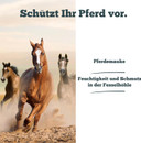 Sensipharm Sensi Horse Cream 300 g - Mauk Ointment for Horses - Skin-Friendly Zinc Ointment Horse with Vitamin D for Horses Against Mauke Horse and Jet Rot Horse Skin-Friendly Pain Free Hoof Care