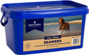 Dodson & Horrell Seaweed Horse Supplement, 2 kg