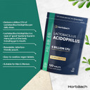 Lactobacillus Acidophilus 6 Billion CFU | Pro-Bio for Digestive & Gut Health | 120 Vegan Tablets | High Strength Bio Cultures for Men & Women | by Horbaach