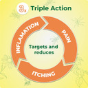 Anthisan Bite & Sting Cream Relief from Insect Bites, stings & stinging Nettle Rash, 20 g (Pack of 2) Anthisan Bite & Sting Cream Relief from Insect Bites, stings & stinging Nettle Rash, 20 g (Pack of 2)