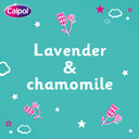 Calpol Vapour Plug Refill Pads Lavender & Chamomile 3+ Months, Pack of 15