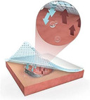 Moderex Hydrocool Hydrogel Dressings for Dry Wounds, Secondary Burns and Rehydrating necrotic Tissue (15x15cm x 10 with Border)