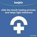 Bonjela Adult Gel, 15g X 2, 30g Total, Oral Gel, Mouth Ulcer, Gum Pain Relief, Antiseptic, Cold Sore, Dental Gel, Protects Mouth, Effective Pain Relief, Cold Sores, Medication