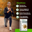 Comp. Harpagofito 60COMP