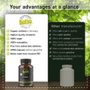 Biotiva Lemon Balm Organic 150 Capsules - Melissa officinalis - 450mg - Without additives - Bottled and Checked in Germany (DE-ECO-005)