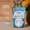 Reishi Antiox Superfood 100g Hifas da terra