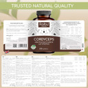 Raibu Cordyceps Capsules - 21000mg Mushroom Content per Daily Dose (10:1 Extract) - 200 Vegan Capsules - Cordyceps Supplement with Black Pepper & Vitamin C for Well-Being - No Additives & Lab Tested