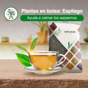 SORIA NATURAL SPLIEGO 30g