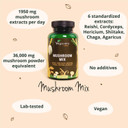 Vegavero Mushroom Complex | High Strength Extracts | Reishi, Cordyceps, Chaga, Lions Mane, Shiitake & Agaricus | NO Additives | 120 Capsules | Vegan