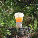 Ballot-Flurin Beez'Nergy Stick Rechargeable